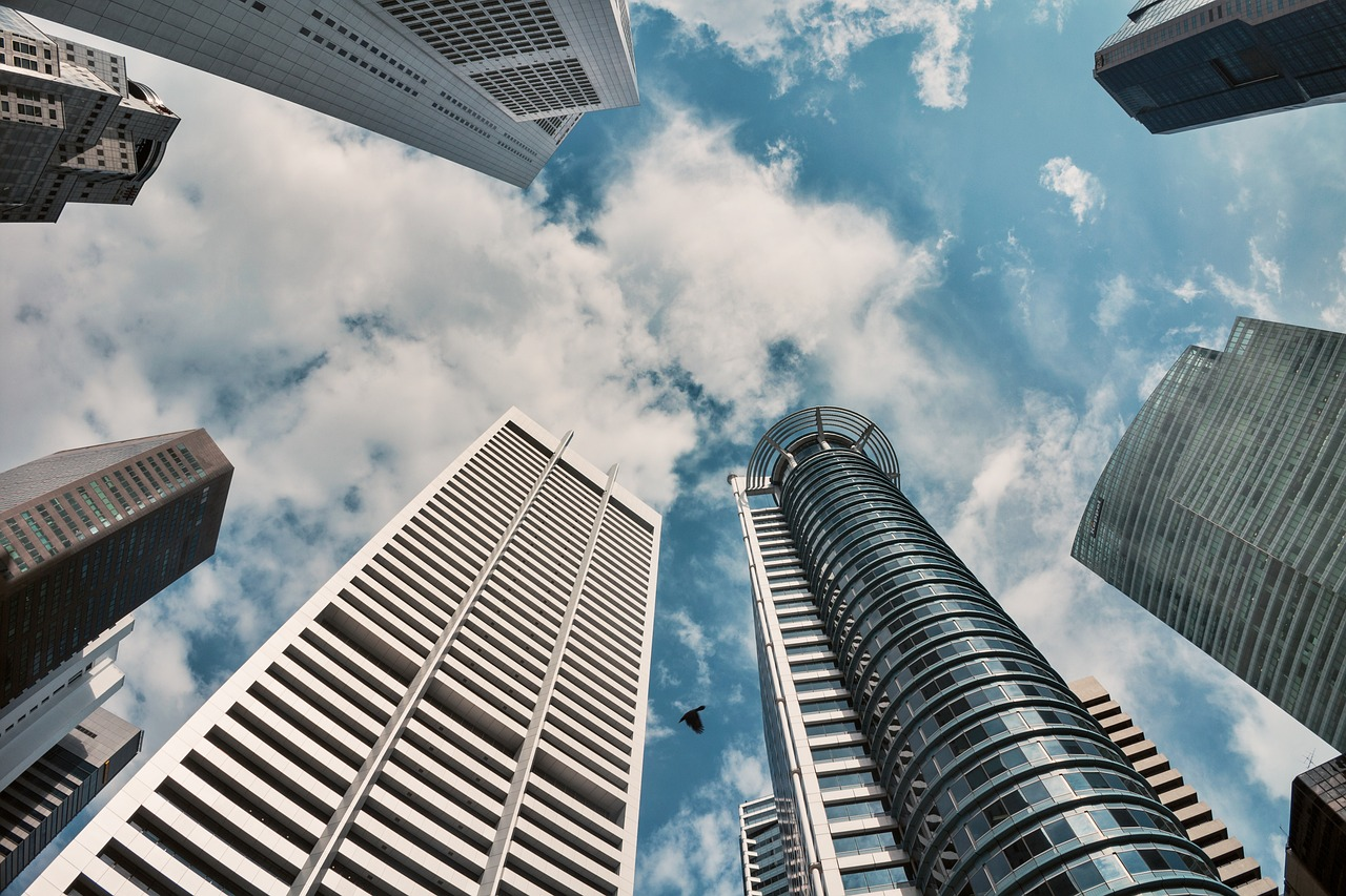 China-Singapore Customized Group Exchange & Cooperation